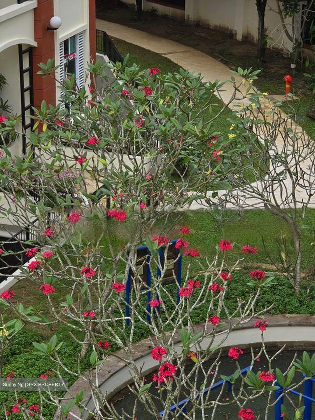 Sunrise Gardens (D28), Condominium #484662521